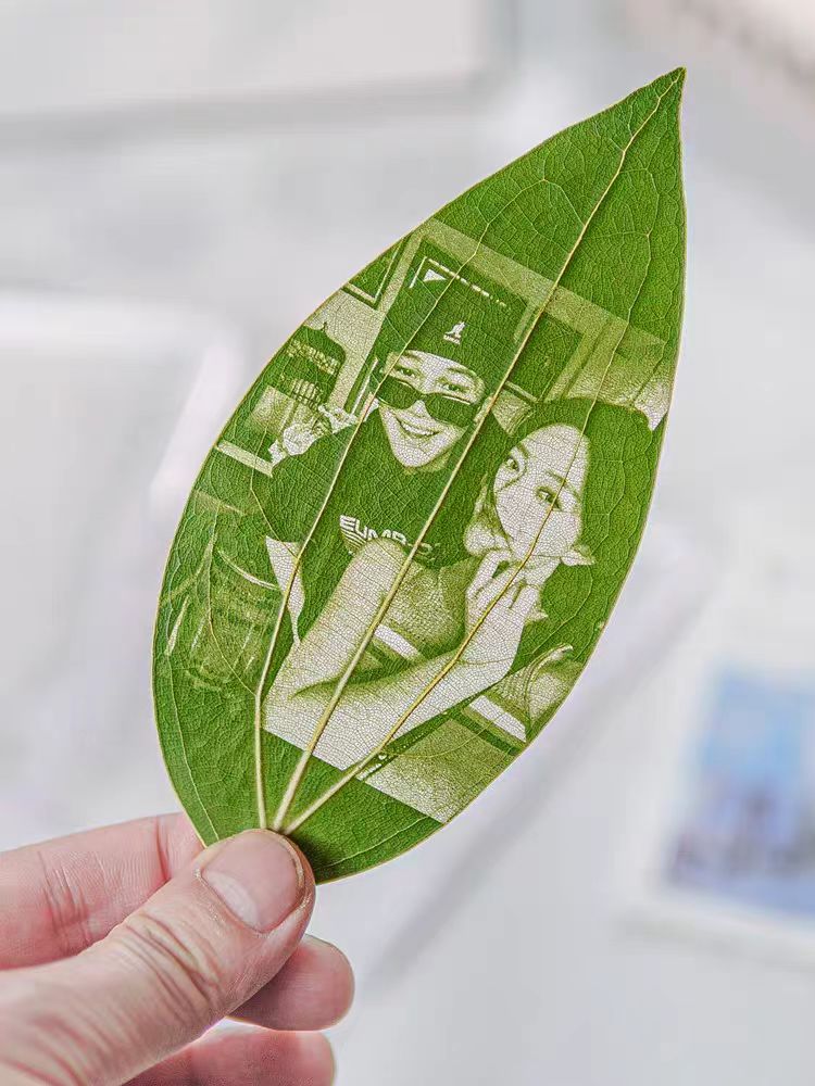 1723103991504900.jpg peace leaves portrait 1.jpg